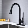 Single Handle High Arc Brushed Nickel Pull out Kitchen Faucet,Single Level Stainless Steel Kitchen Sink Faucets with Pull down Sprayer