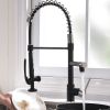 Kitchen Faucet with Pull Down Sprayer one-Hole Gooseneck Kitchen Sink Faucet 2 Handle