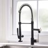 Kitchen Faucet with Pull Down Sprayer one-Hole Gooseneck Kitchen Sink Faucet 2 Handle