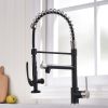 Kitchen Faucet with Pull Down Sprayer one-Hole Gooseneck Kitchen Sink Faucet 2 Handle